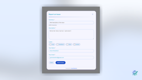 Guided issue form collects summary, labels, and reporter details