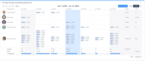 Shows details where time working was spent by issue