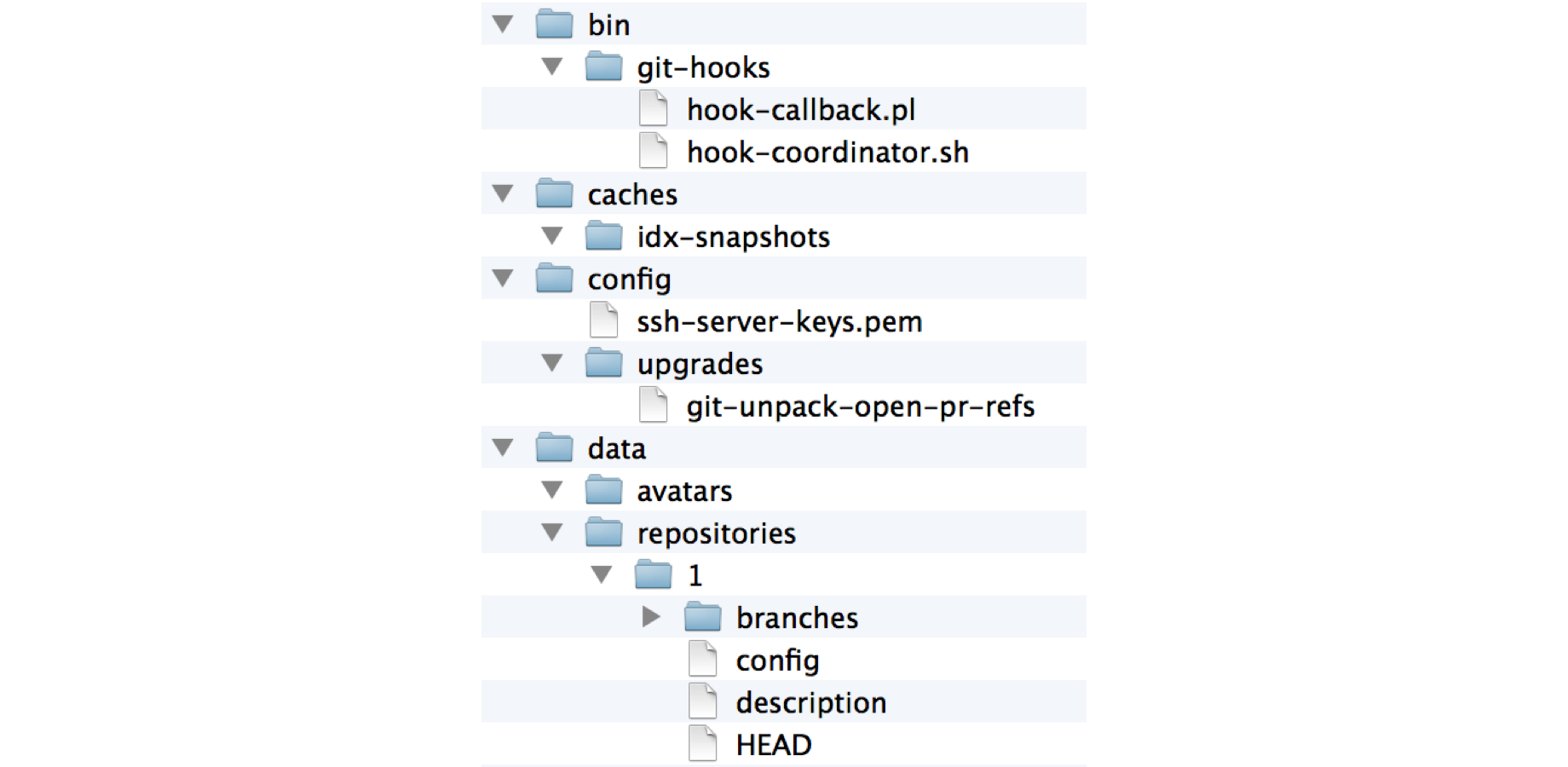 Comprehensive back up