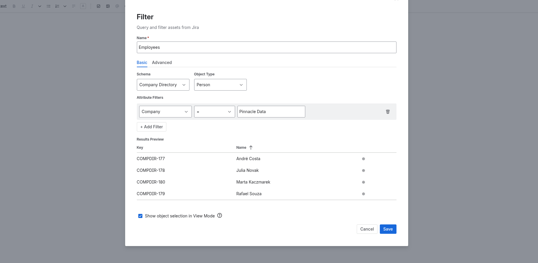 View of the basic configuration of a Beautiful Assets Filter.