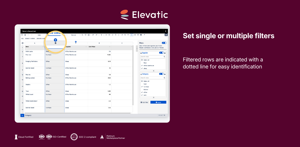 Set single or multiple filters for your tables