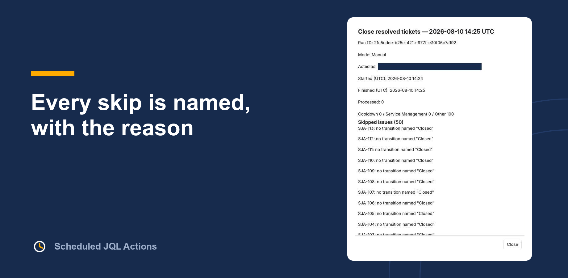 The execution log names each skipped issue and the reason it was skipped.