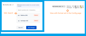 Multiple select and search 