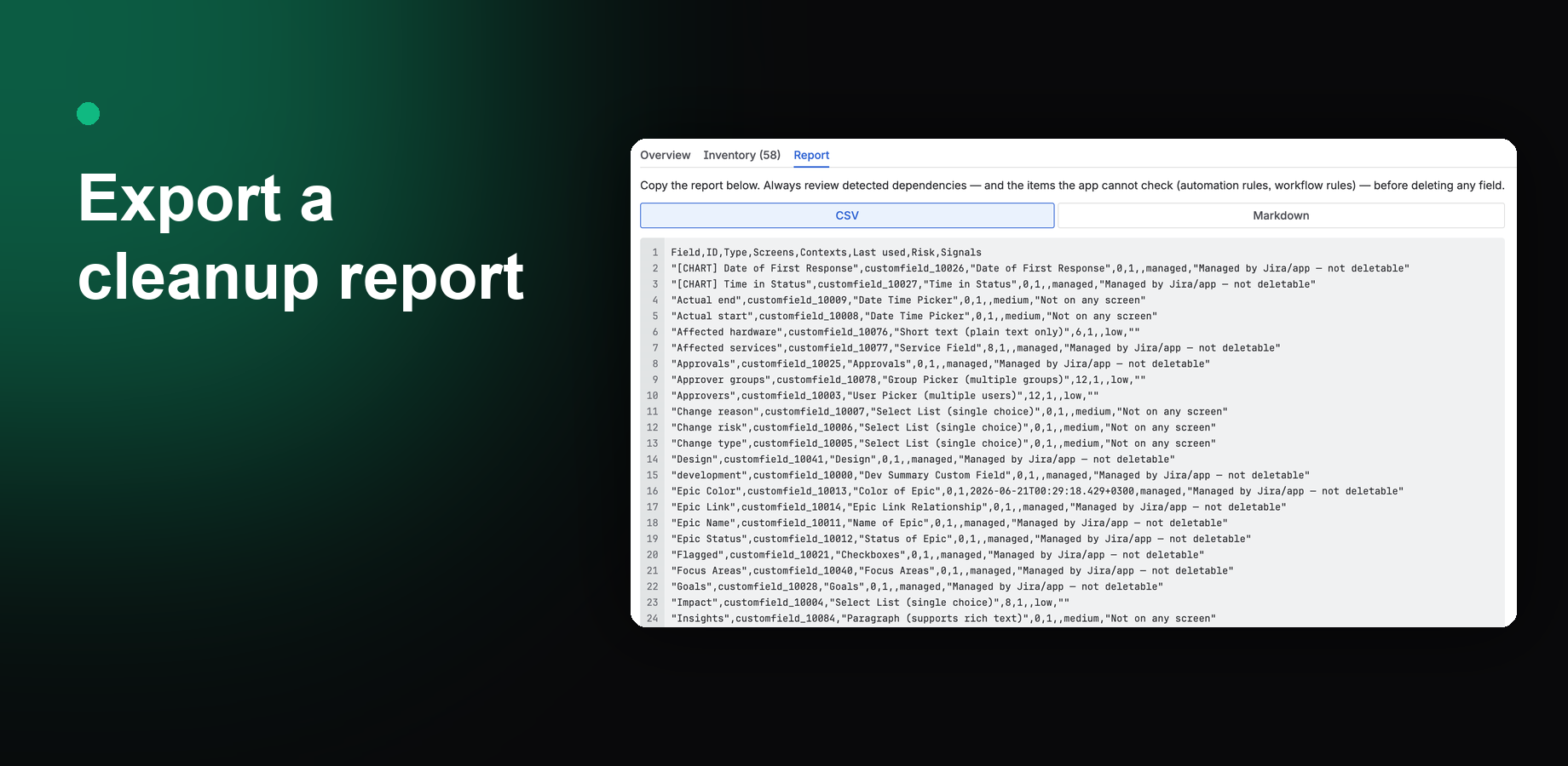 Report tab with a copy-ready cleanup export
