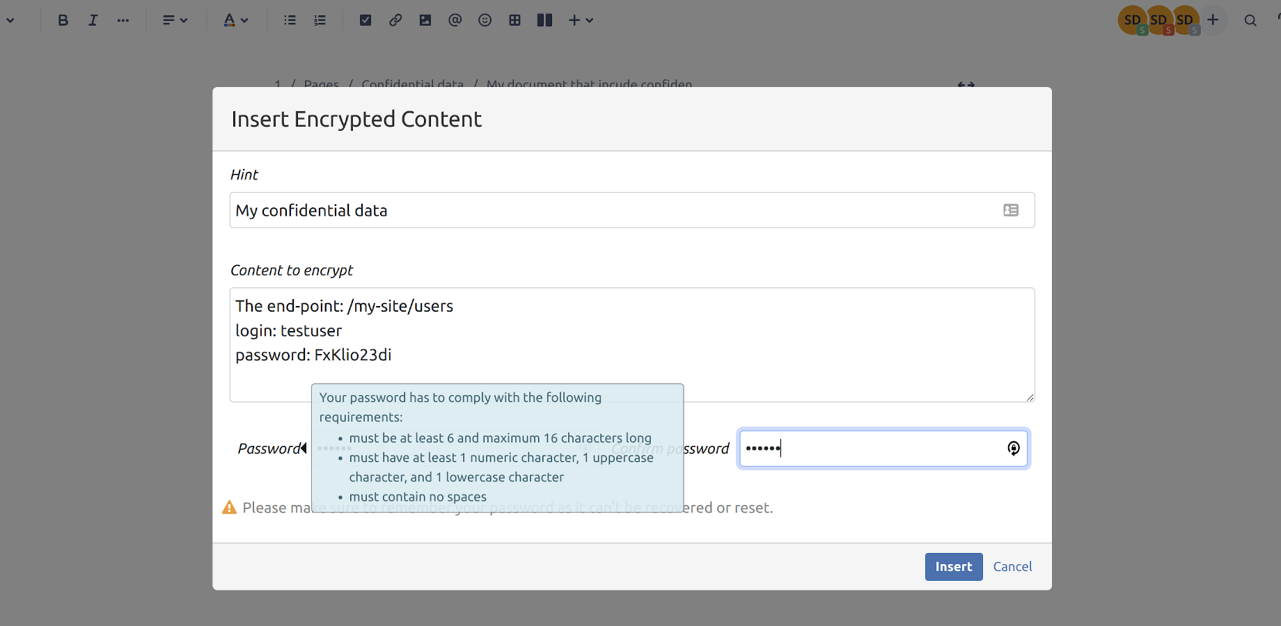 Insert the data you want to encrypt and protect with a password.