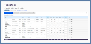 Timesheet view for worklog events