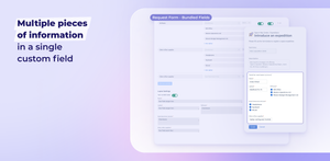 Multiple pieces of information in a single custom field