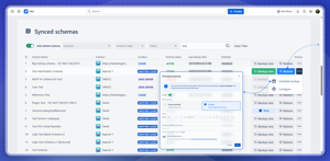 Insight Assets Backup & Migration: Synced Schemas