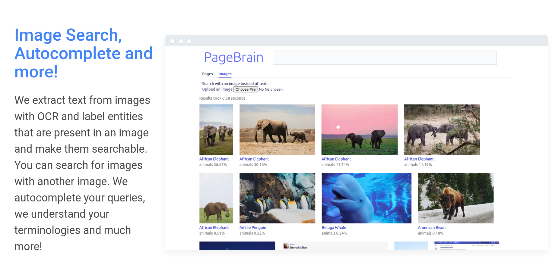 We make images searchable and you can even search for images with another image. Autocomplete, spell checking, typo tolerance, custom stop words, custom synonyms, OCR, Image labelling, reverse image search and more!