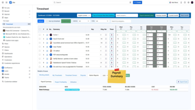 Payroll Summary for admins.