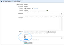 create or edit an issue and set its criticality