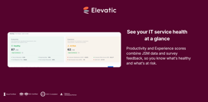 Productivity and Experience scores side by side, in one view.