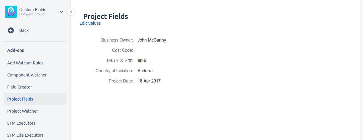 The custom field panel in an Project