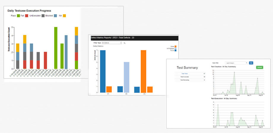 Get project details to communicate key message about project progress as it summarizes the results of test cases.