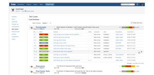 Detailed Test Cycles allow you to group tests for execution and provide real-time feedback on quality status.