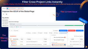 Filter linked issues across all projects directly from the panel.