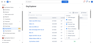 The Org Explorer app in Jira Service Management, filtering for "VIP" across a custom field data table with an active "Columns" dropdown menu open