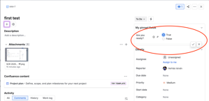 Easy to set the boolean value. Just select the True or the False.