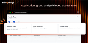 Application, group and privileged access rules