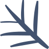 Whistle Willow for Confluence