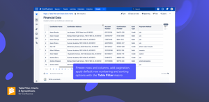 Freeze rows and columns, add pagination to manage large tables easier with the Table Filter macro