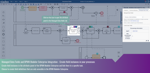 Integrated with BPMN Modeler Enterprise: Attach Field Instances on process elements within the BPMN Modeler. Use Field Queries to create reports of existing Field Instances accross process models.