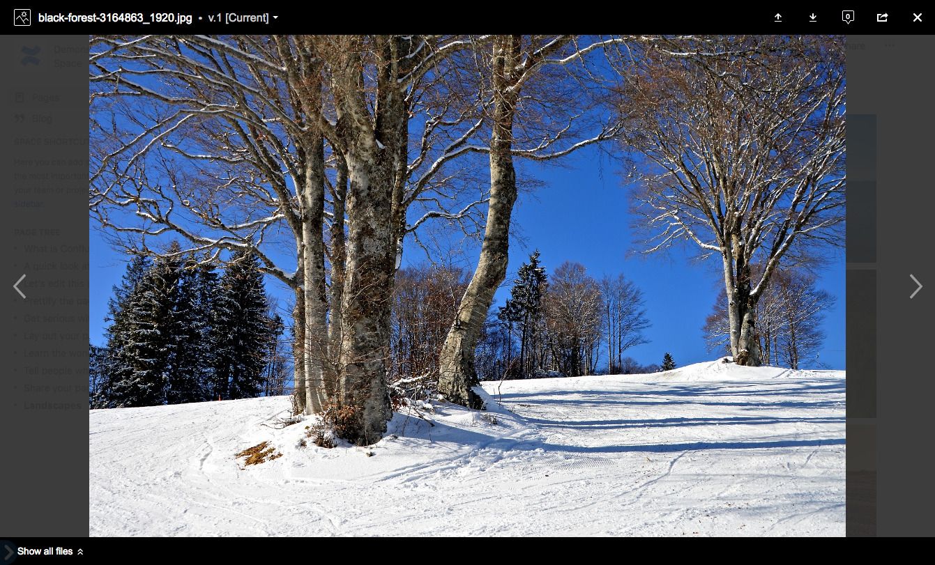 ​On click, the picture will open in confluence's inbuilt image viewer, as you are used to.