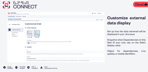 Customize external data display