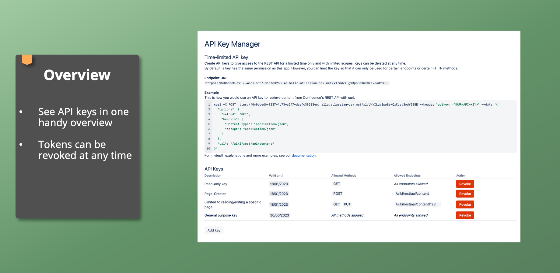 Safe API key management