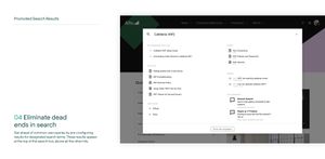Promoted search results: Pre-configure results for designated search terms.