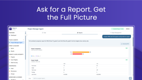Ask for a project report, compare projects side by side, review Pulse Scores, health, findings, and activity, then download the full report as a PDF