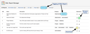 SQL Report Manager for user to view and download report