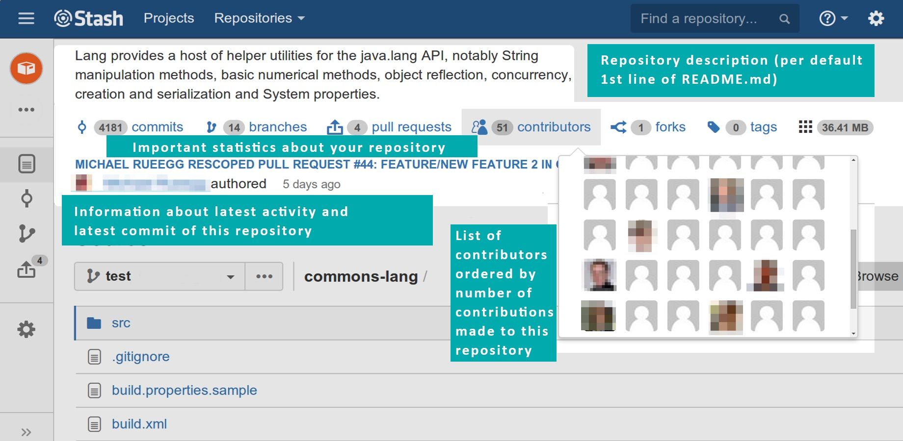 Contributor statistics and repository metadata