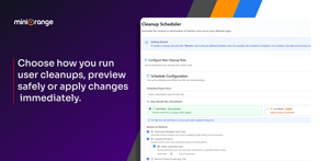 Choose how you run user cleanups, preview safely or apply live changes 
