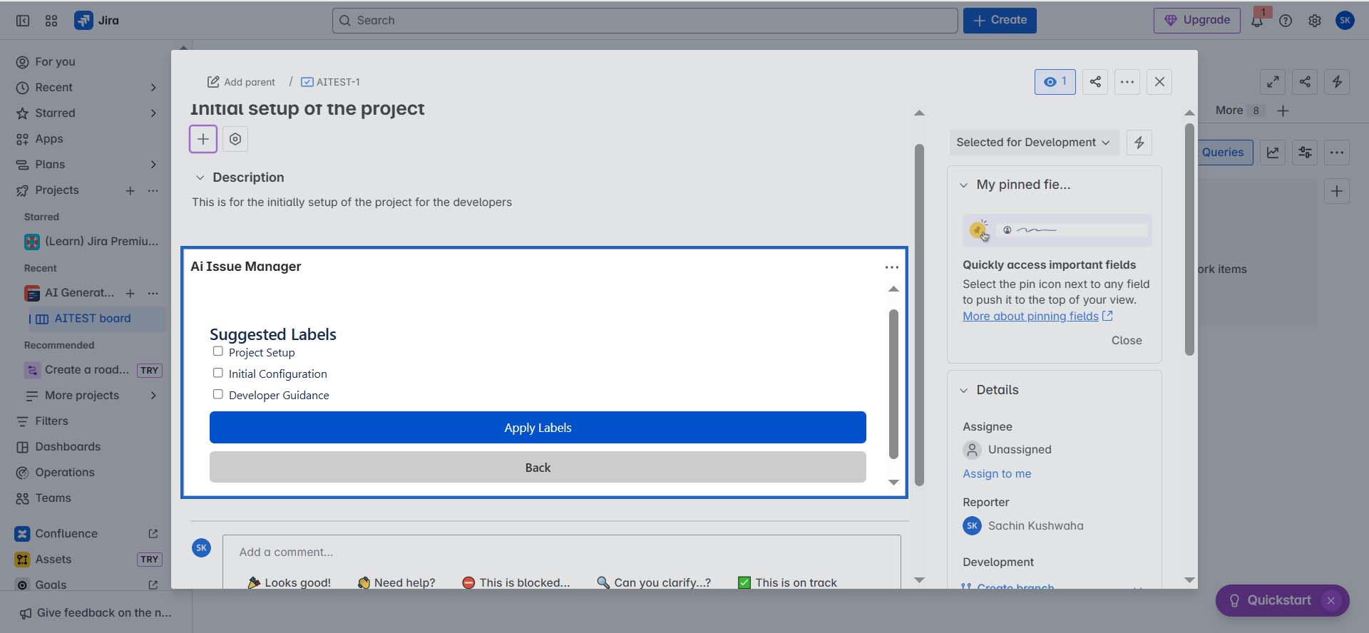 Easily select and apply suggested labels like “Project Setup” and “Developer Guidance” from within the issue view