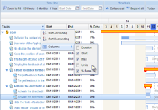 Spreadsheet column customization
