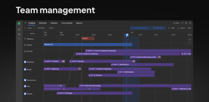 Visualize cross-team collaboration on the timeline to track responsibilities and monitor progress toward shared goals, ensuring alignment and smoother workflows.