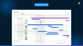 Timeline View