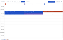 Timeline year-monthly view