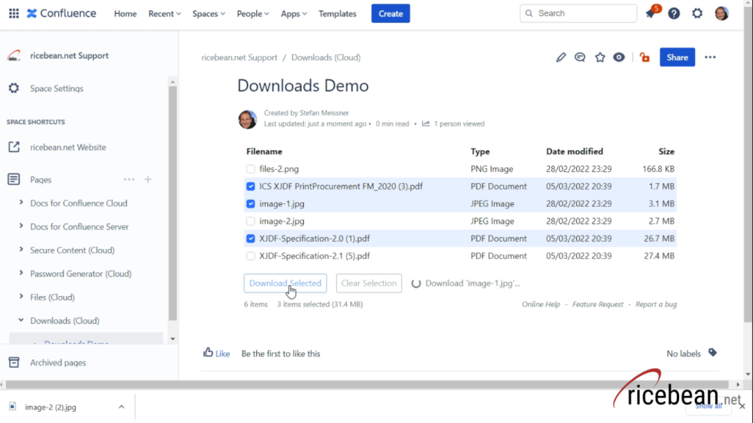 Download selected files