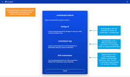 Example of different authentication methods activated by the administrator to choose for the user. Options can be used interchangeably or as a backup method.