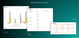 Default view options - Chart, Pivot or Tiles