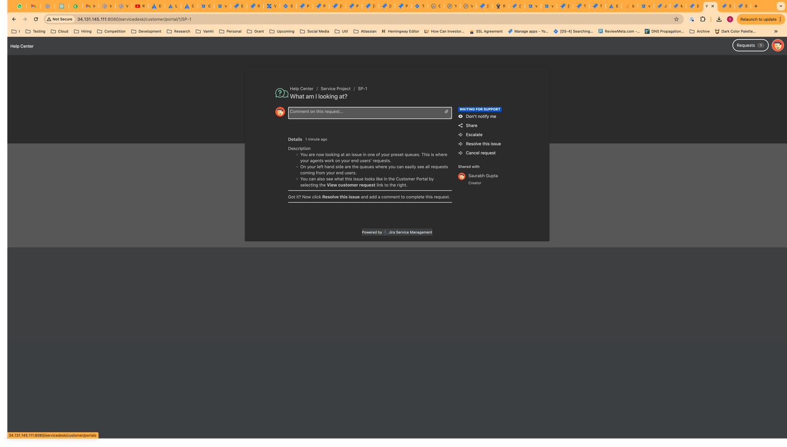 Jira issue in Jira Service Management (JSM)