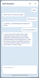 Karli Assistant Chat Window
