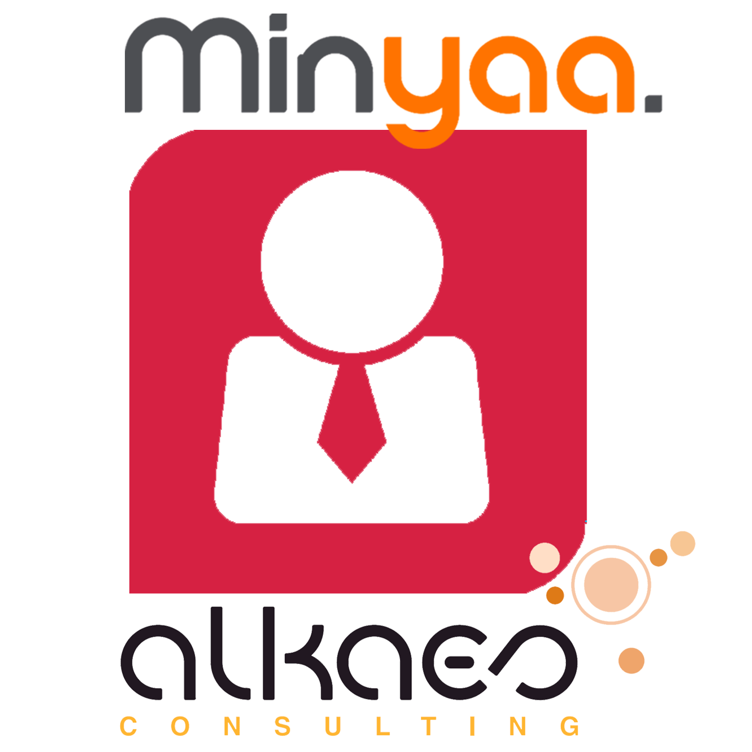Alkaes - Users Security